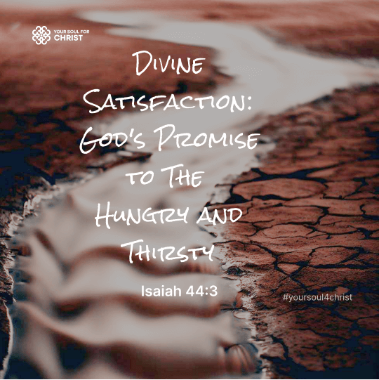 Divine Satisfaction: God's Promise to The Hungry and Thirsty - Isaiah 44:3