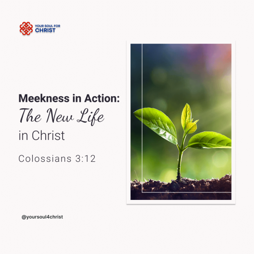 Meekness in Action: The New Life in Christ - Colossians 3:12