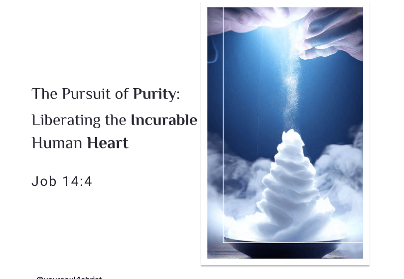 The Pursuit of Purity: Liberating the Incurable Human Heart - Job 14:4