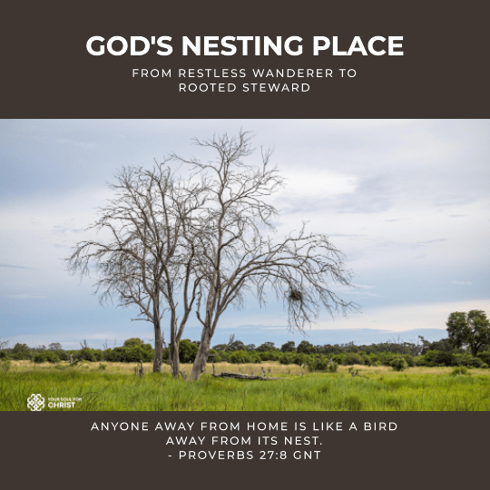 God's Nesting Place: From Restless Wanderer to Rooted Steward - Proverbs 27:8