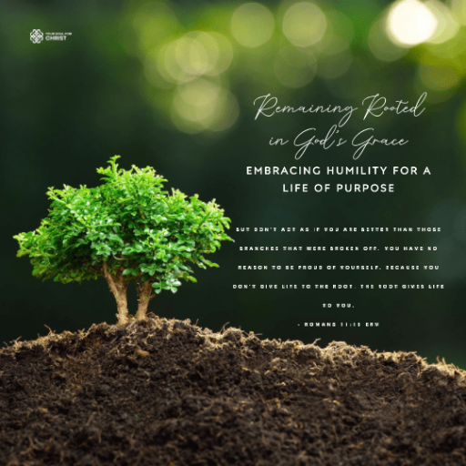 Remaining Rooted: Humility in God's Grace - Romans 11:18