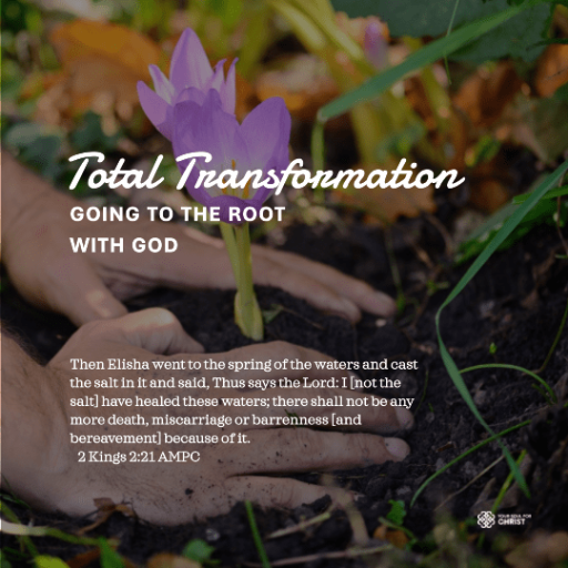 Total Transformation: Going to the Root with God - 2 Kings 2:21