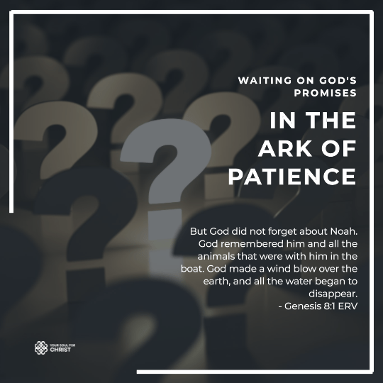 Waiting on God's Promises: In the Ark of Patience - Genesis 8:1