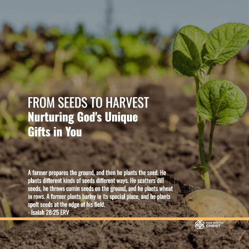 From Seeds to Harvest: Nurturing God's Unique Gifts in You - Isaiah 28:25