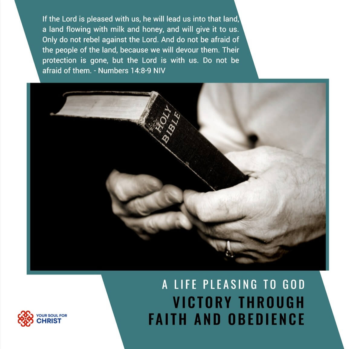 A Life Pleasing to God: Victory through Faith and Obedience - Numbers 14:8-9