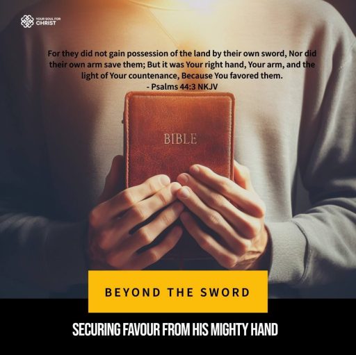 Beyond the Sword: Securing Favour from His Mighty Hand - Psalm 44:3