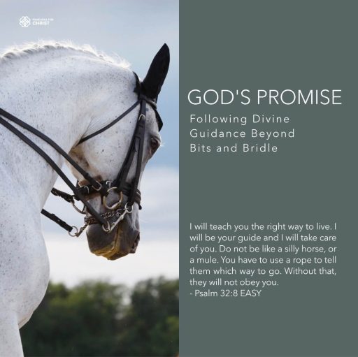 God's Promise: Following Divine Guidance Beyond Bits and Bridle - Psalm 32:8