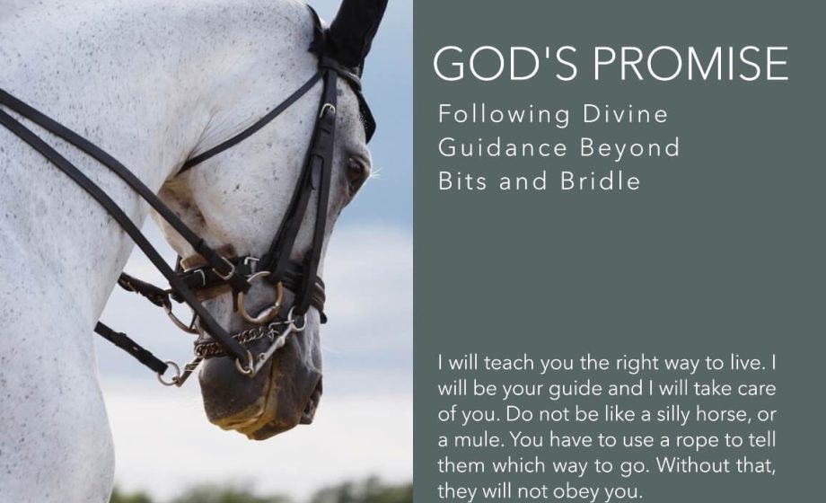 God's Promise: Following Divine Guidance Beyond Bits and Bridle - Psalm 32:8