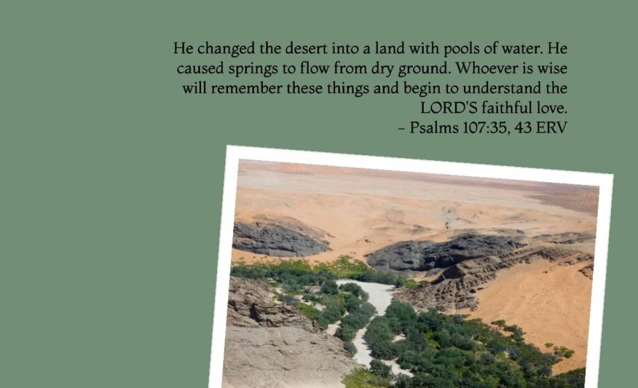 God's Faithful Love: Transforming Deserts into Abundant Springs - Psalm - 107:35,43