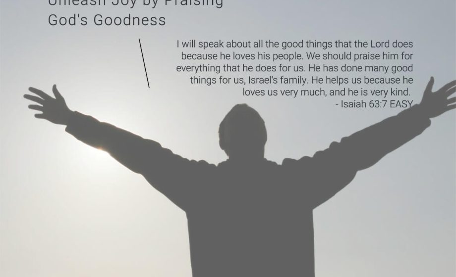 Gratitude Lifestyle: Unleash Joy by Praising God's Goodness - Isaiah 63:7