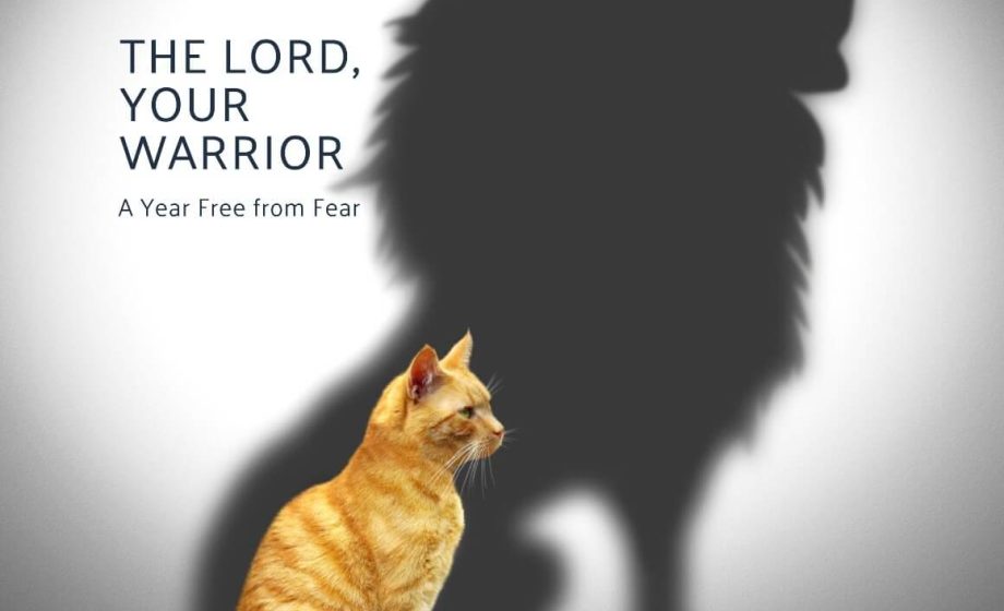 The Lord Your God, Your Warrior: A Year Free from Fear - Deuteronomy 3:22