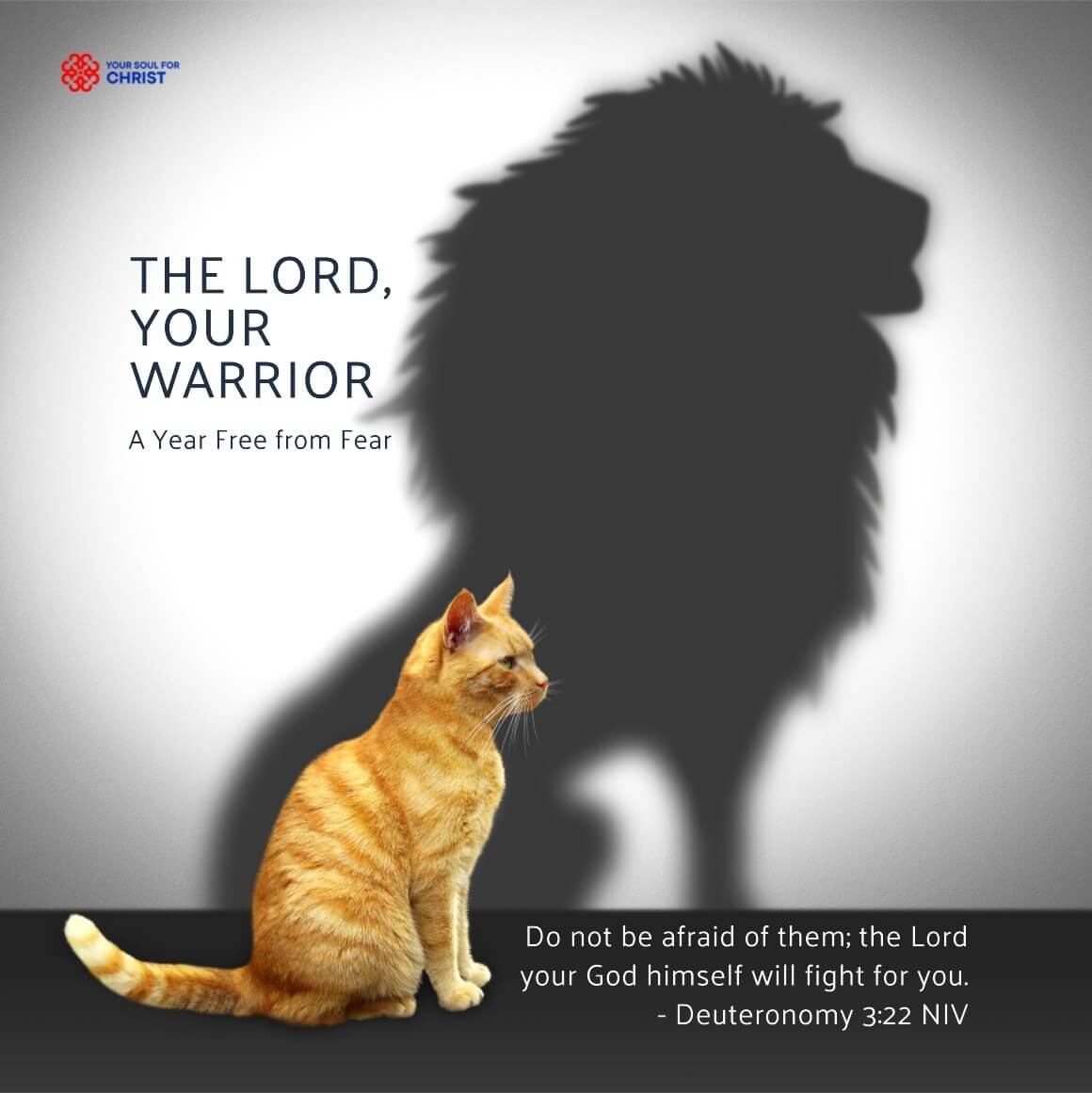 The Lord Your God, Your Warrior: A Year Free from Fear - Deuteronomy 3:22