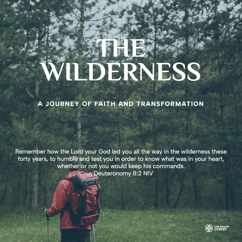 The Wilderness: A Journey of Faith and Transformation - Deuteronomy 8:2