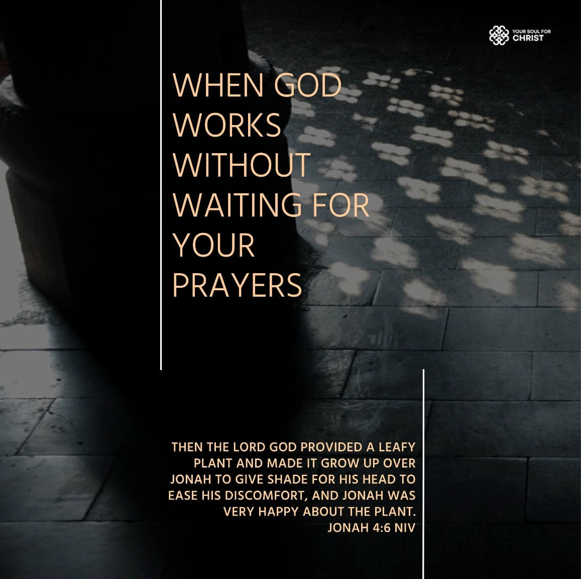 When God Works Without Waiting for Your Prayers - Jonah 4:6