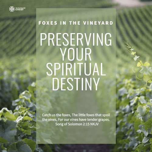 Foxes in the Vineyard: Preserving Your Spiritual Destiny - Song of Solomon 2:15