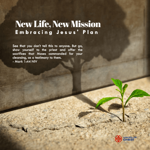 New Life, New Mission: Embracing Jesus’ Plan for Us - Mark1v44