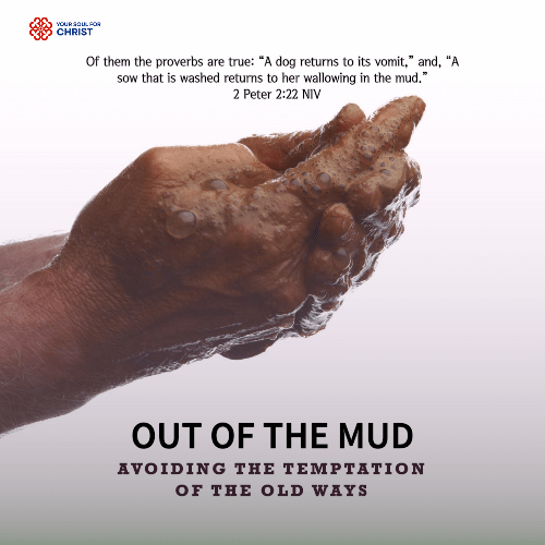 Out of the Mud: Avoiding the Temptation of the Old Ways - 2 Peter 2:22