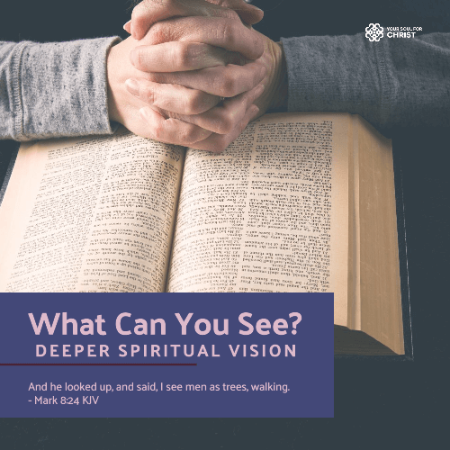 What Can You See? A Deeper Look at Spiritual Vision - Mark 8:24