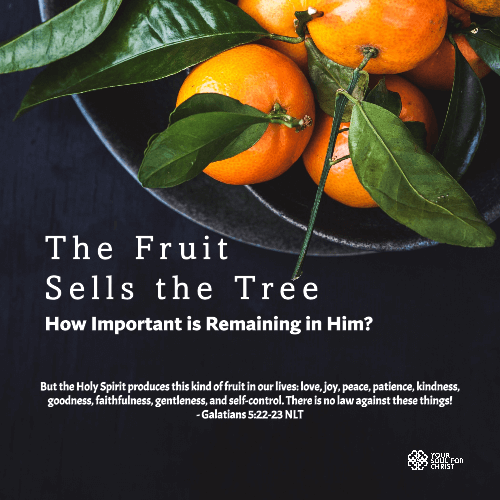 The Fruit Sells the Tree: How Important is Remaining in Him? - Galatians 5:22-23