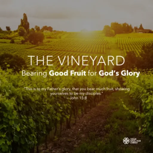 The Vineyard: Bearing Good Fruit for God’s Glory - Isaiah5v1to4