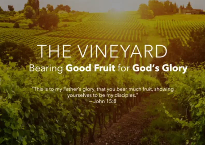 The Vineyard: Bearing Good Fruit for God’s Glory - Isaiah5v1to4