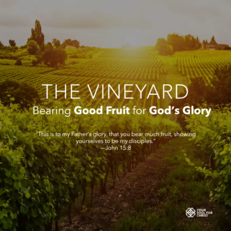 The Vineyard: Bearing Good Fruit for God’s Glory - Isaiah5v1to4