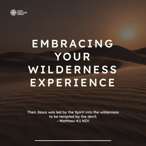 Embracing Your Wilderness Experience - Matthew 4:1