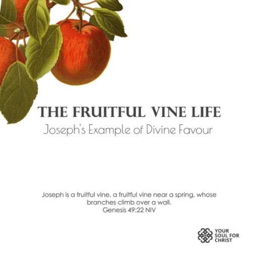 The Fruitful Vine Life: Joseph's Example of Divine Favour - Genesis 49:22-25