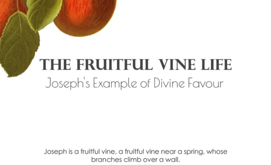 The Fruitful Vine Life: Joseph's Example of Divine Favour - Genesis 49:22-25