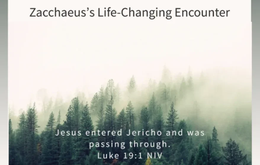 From Tree to Table: Zacchaeus’s Life-Changing Encounter - Luke 19:1