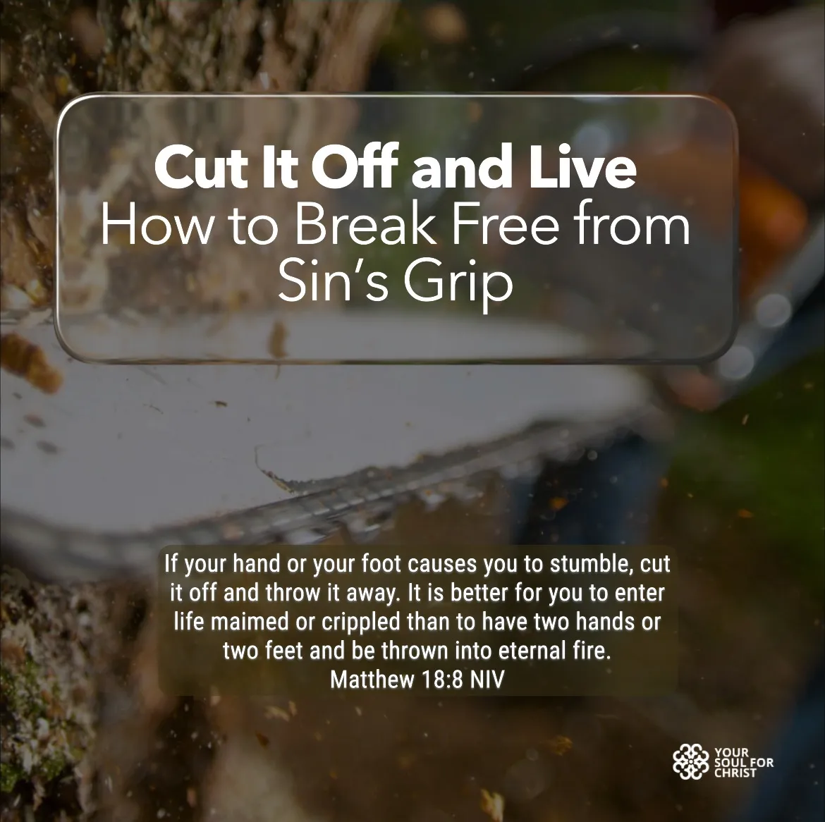 Cut It Off and Live: How to Break Free from Sin’s Grip - Matthew 18:8