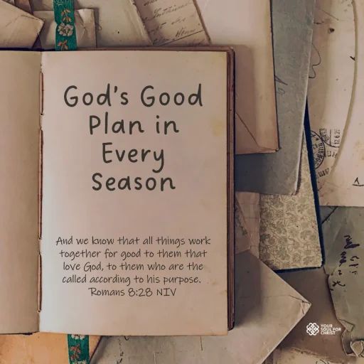 God’s Good Plan in Every Season - Romans 8:28
