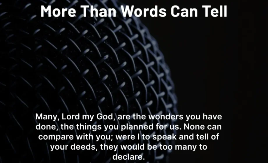 Many, Lord my God, are the wonders you have done, the things you planned for us. None can compare with you; were I to speak and tell of your deeds, they would be too many to declare. - Psalm 40:5