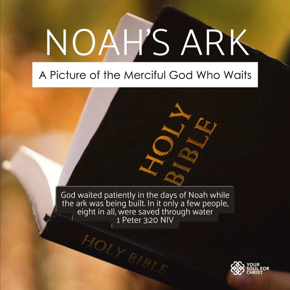 Noah’s Ark: A Picture of the Merciful God Who Waits - 1 Peter 3:20