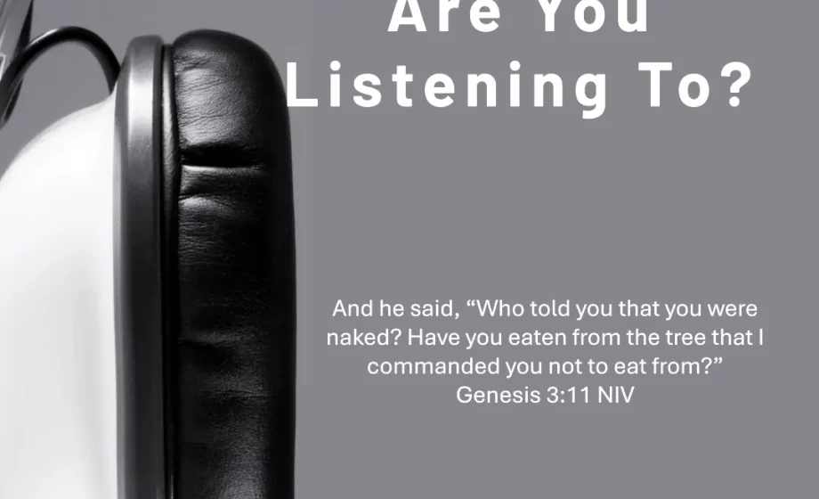 Whose Voice Are You Listening To? - Genesis 3:11