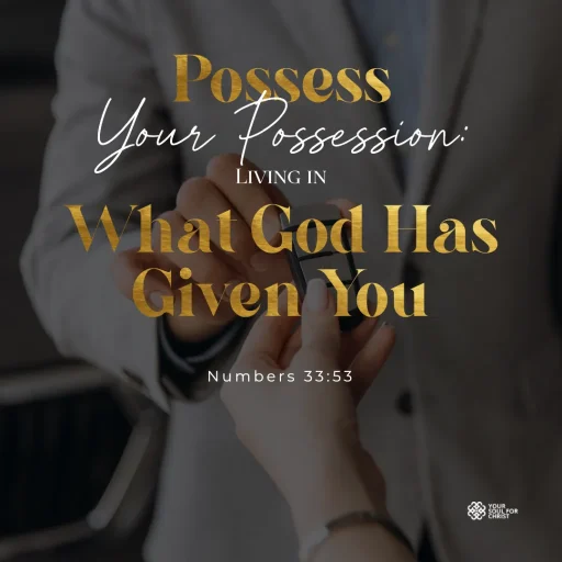 Possess Your Possession: Living in What God Has Given You - NUmbers 33:53