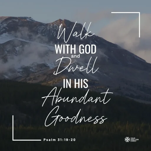 Walk with God and Dwell in His Abundant Goodness - Psalm 31:19-20
