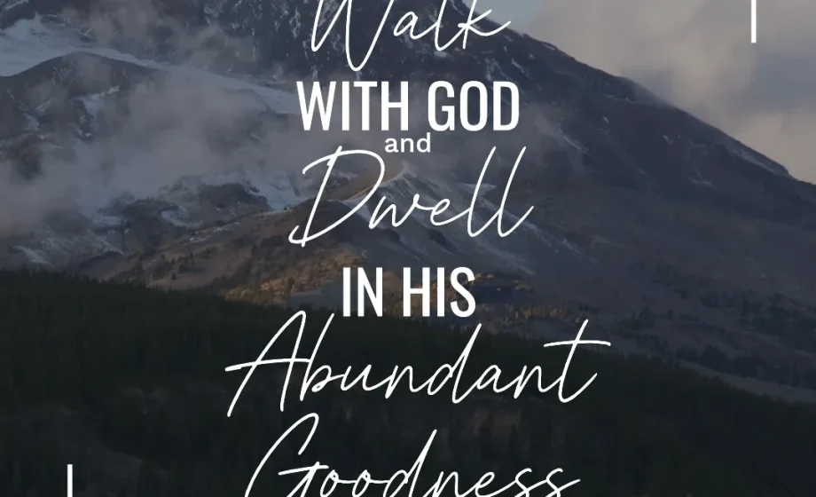 Walk with God and Dwell in His Abundant Goodness - Psalm 31:19-20