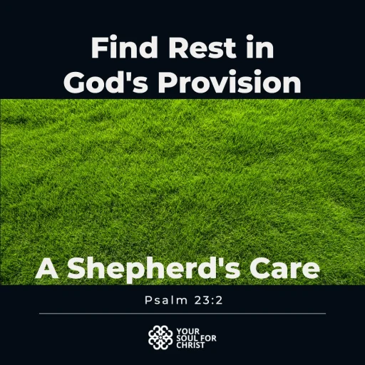 Find Rest in God's Provision: A Shepherd's Care - Psalm 23:2