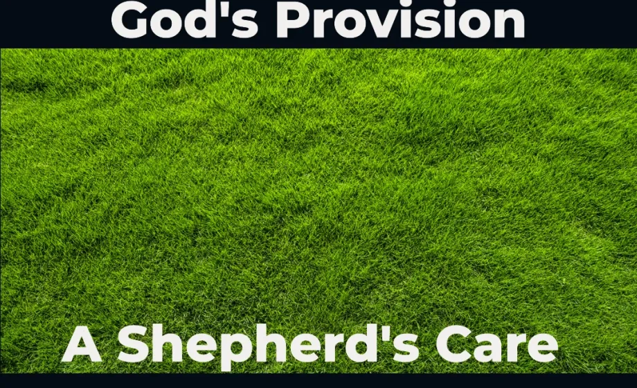 Find Rest in God's Provision: A Shepherd's Care - Psalm 23:2