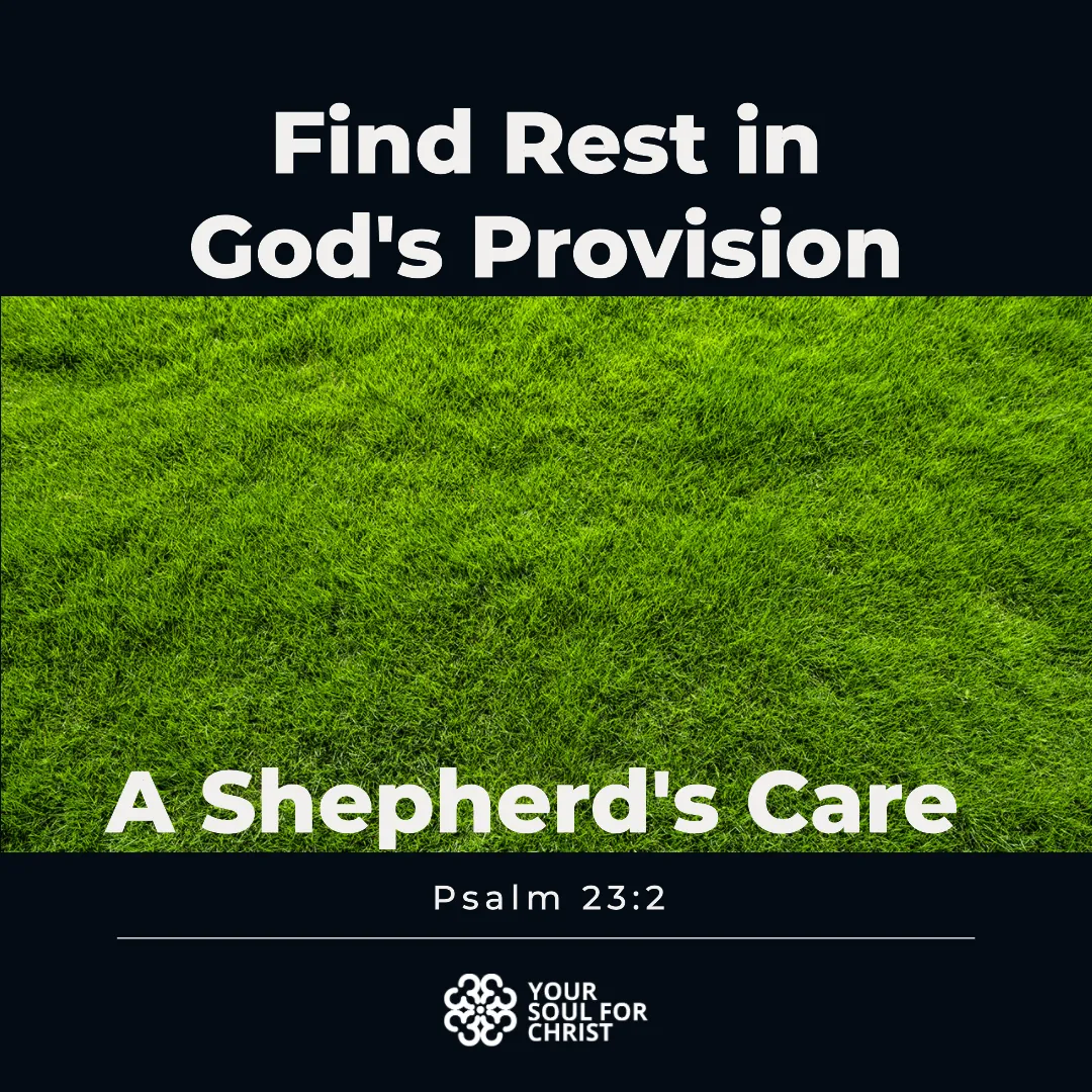 Find Rest in God's Provision: A Shepherd's Care - Psalm 23:2
