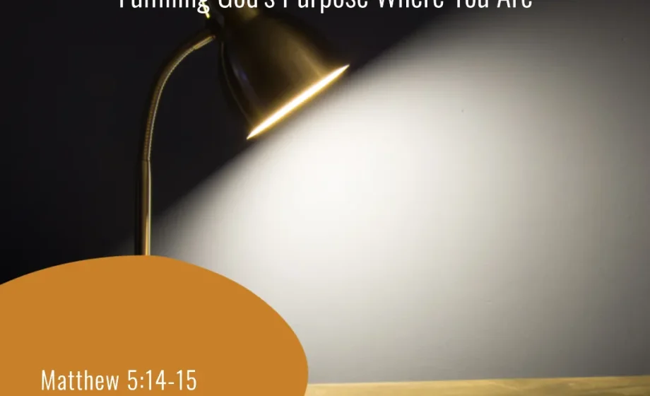 Shine in the House: Fulfilling God’s Purpose Where You Are - Matthew 5:14-15