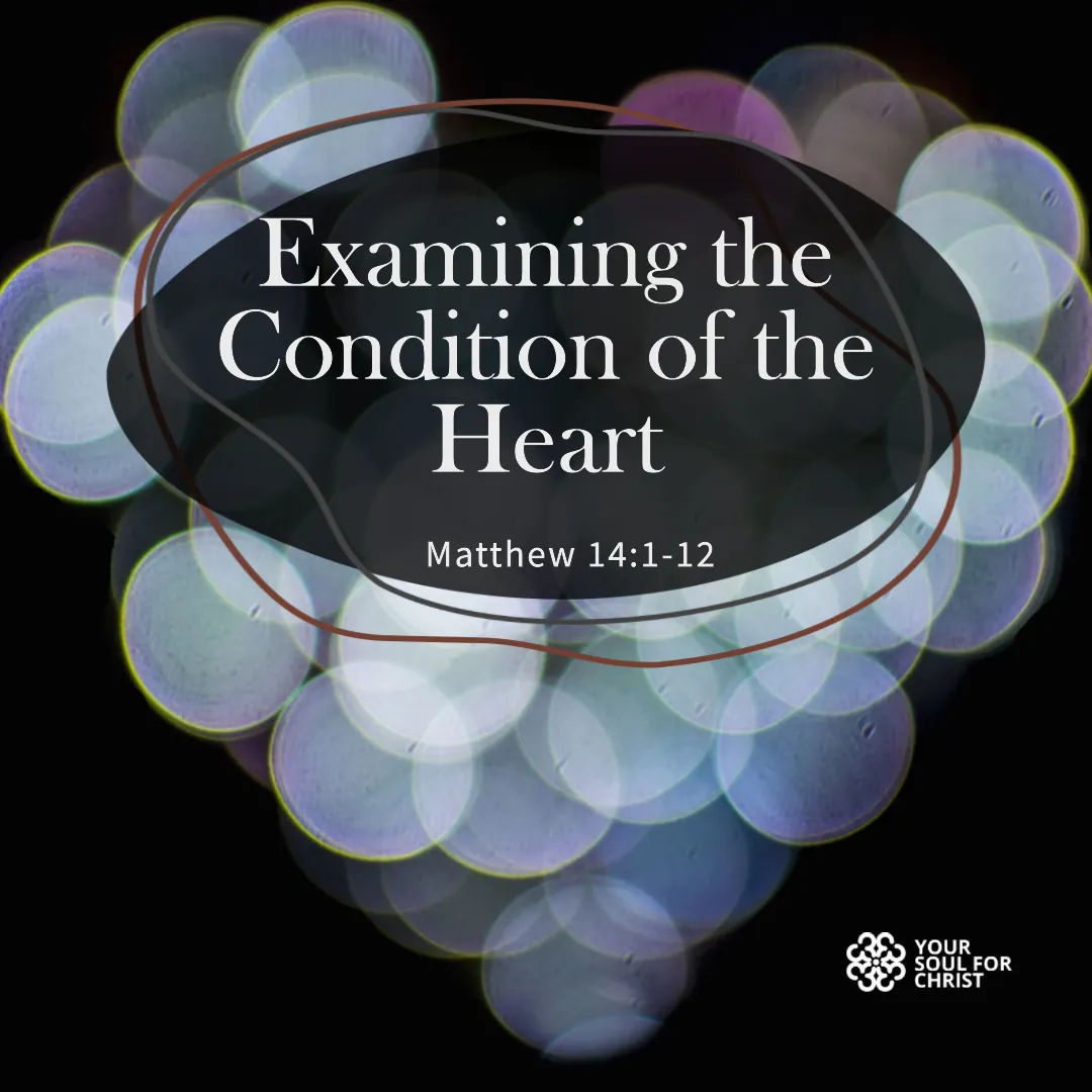 Examining the Condition of the Heart - Matthew14:1-12