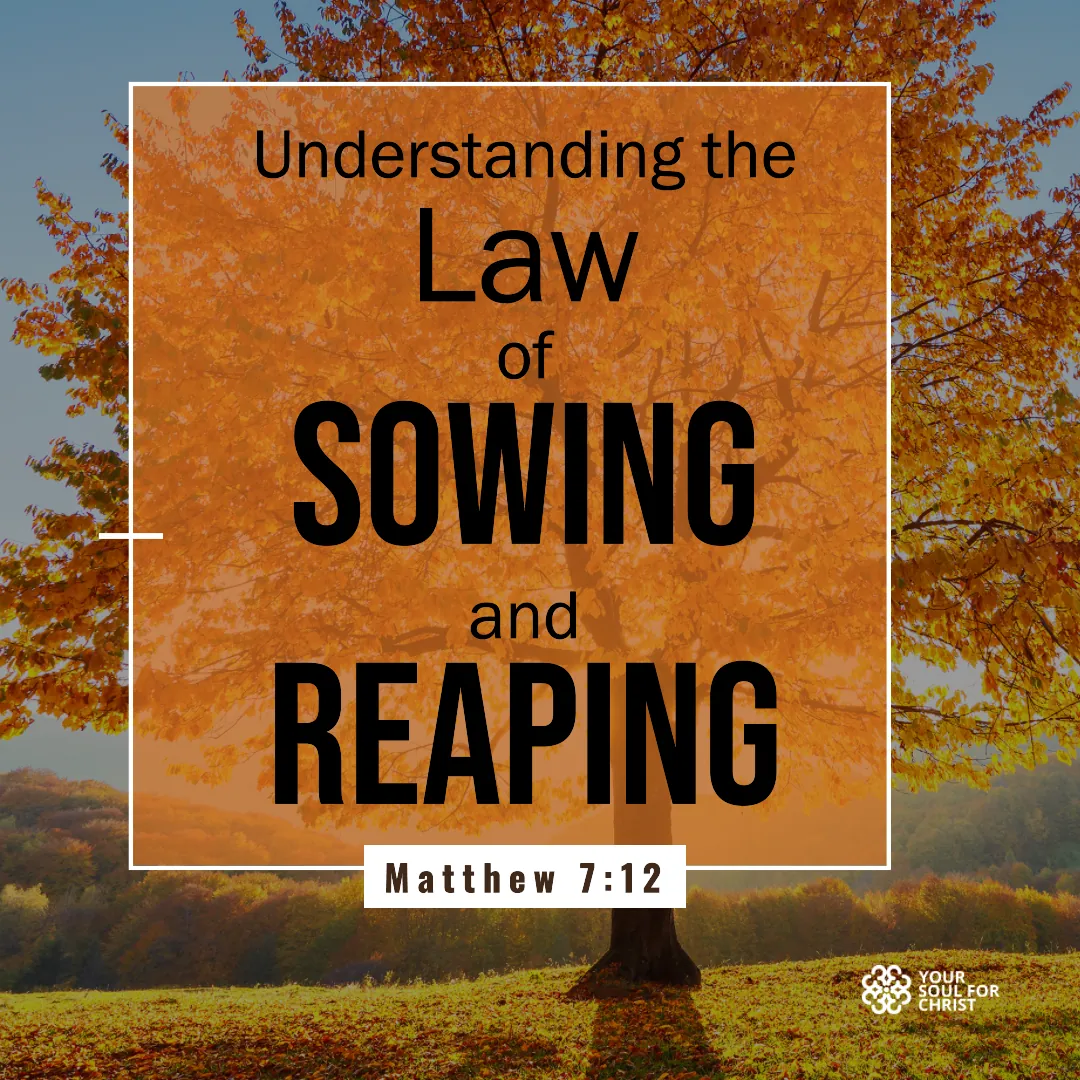 Understanding the Law of Sowing and Reaping - Matthew 7:12