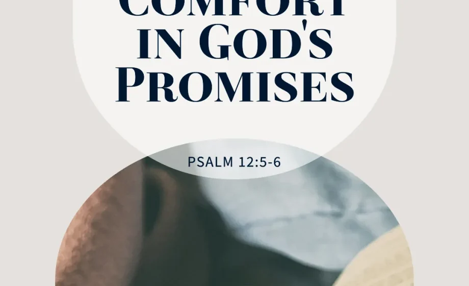 Finding Comfort in God's Promises - Psalm 12:5-6