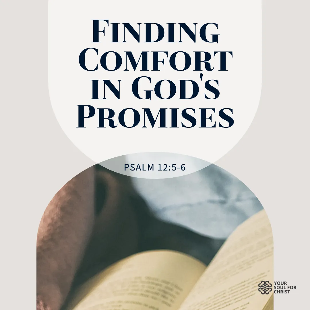 Finding Comfort in God's Promises - Psalm 12:5-6