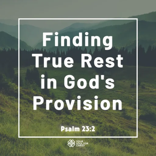 Finding True Rest in God's Provision - Psalm 23:2