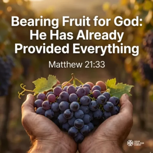 Bearing Fruit for God: He Has Already Provided Everything - Matthew 21:33