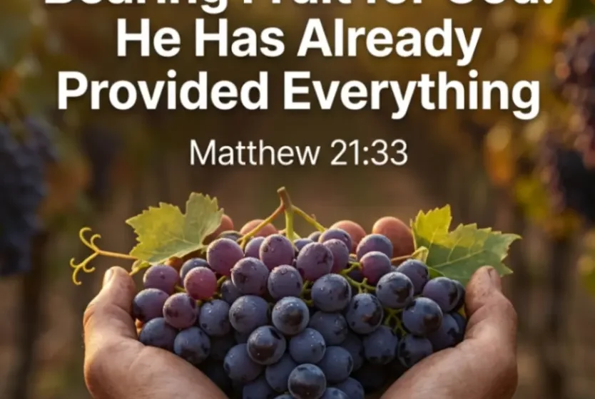Bearing Fruit for God: He Has Already Provided Everything - Matthew 21:33