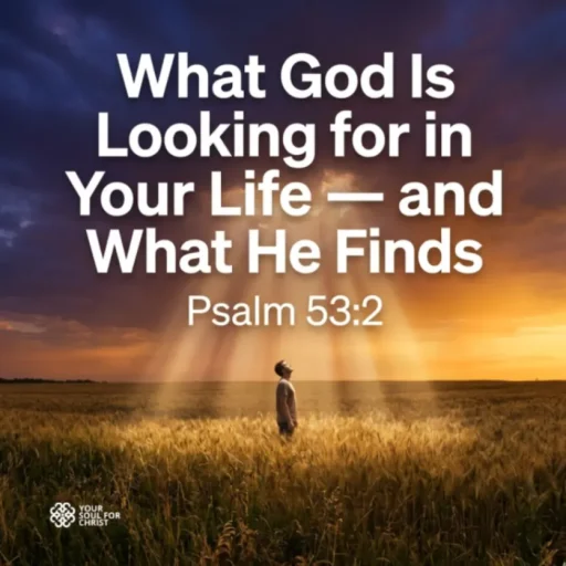 What God Is Looking for in Your Life — and What He Finds - Psalm 53:2